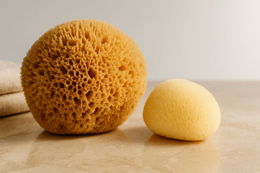 Silk vs. Honeycomb: Which Natural Sea Sponge is Right for You?