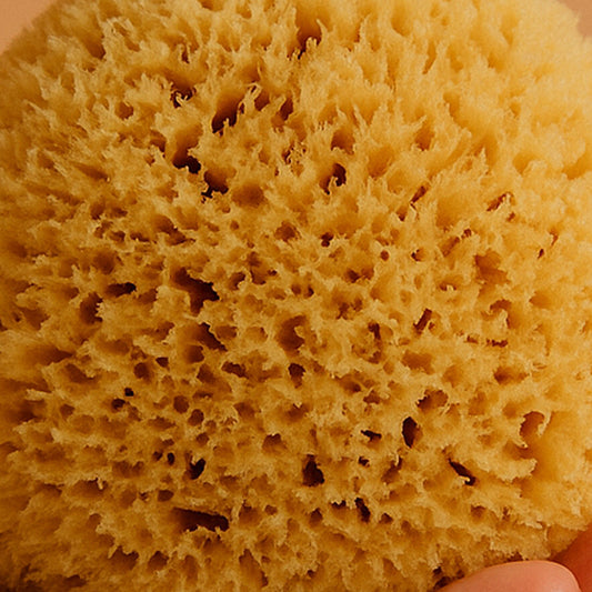 Helios Prestige Geschenkdoos